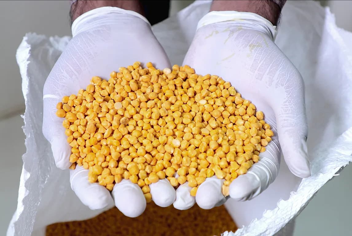 Chana Gota